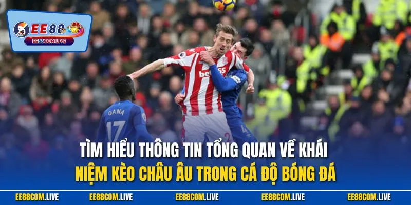 Tìm hiểu thông tin tổng quan về khái niệm kèo châu Âu trong cá độ bóng đá