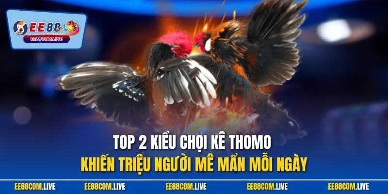 Top 2 kiểu chọi kê Thomo khiến triệu người mê mẩn mỗi ngày