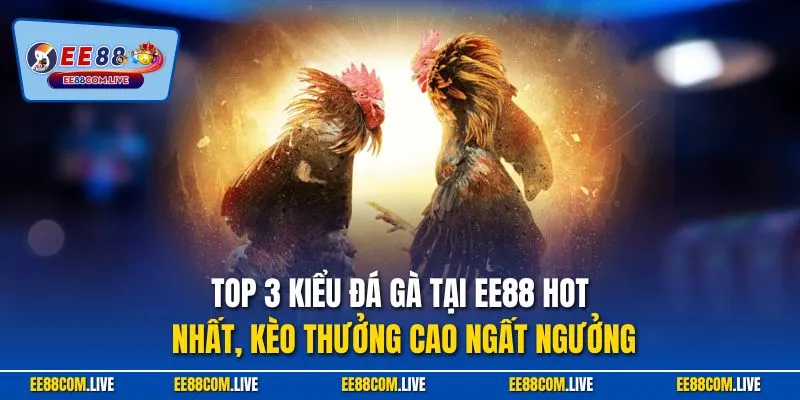 Top 3 kiểu đá gà tại EE88 hot nhất, kèo thưởng cao ngất ngưởng